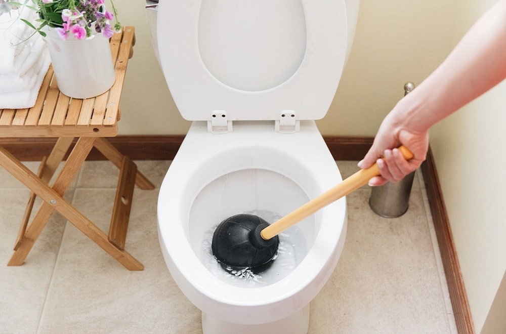 Adelaide Plumber Shares The Most Common Plumbing Problems: CLOGGED TOILETS