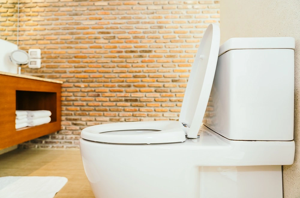 Make Your Bathroom Comfortable With The Best Bidet Seat In Adelaide!